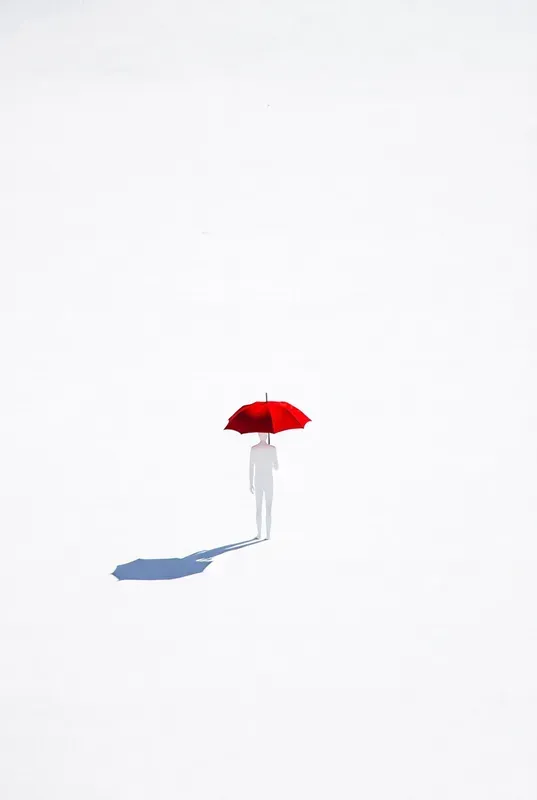 Contemporary Minimalist Illustrations