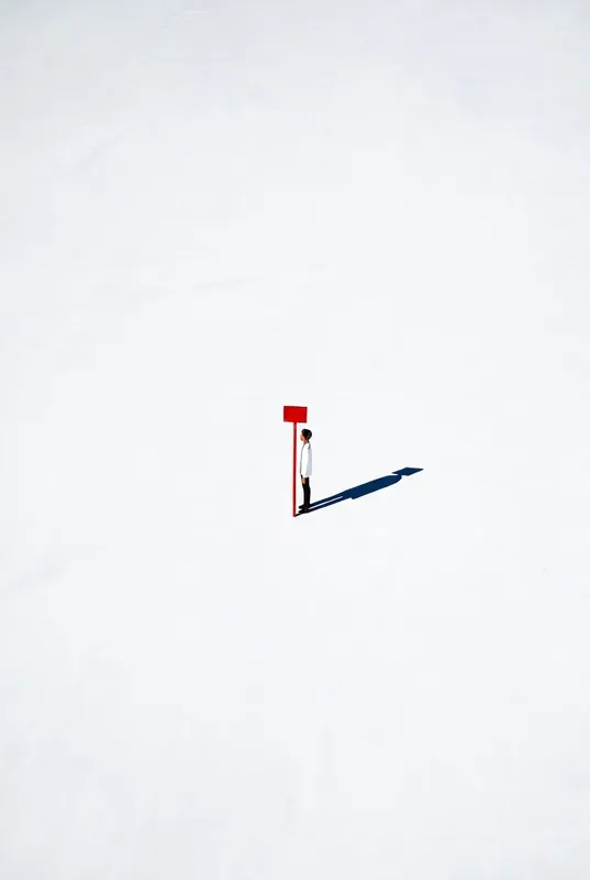 Contemporary Minimalist Illustrations