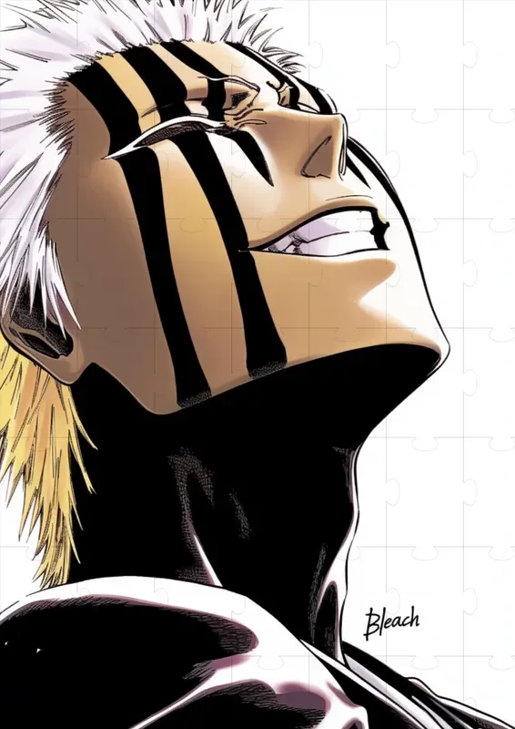 Bleach Characters Tite Kubo