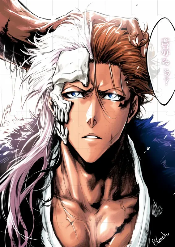 Bleach Characters Tite Kubo