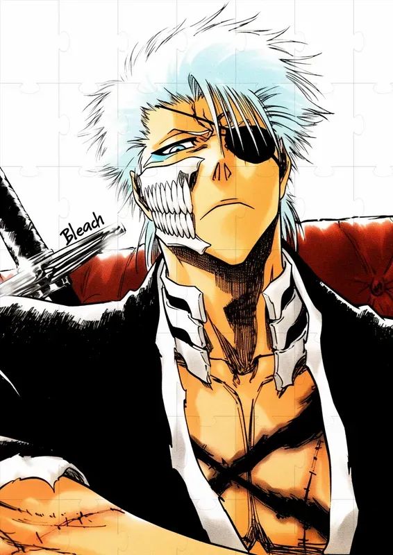 Bleach Characters Tite Kubo