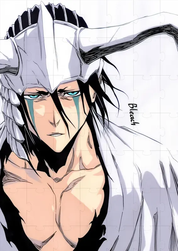 Bleach Characters Tite Kubo