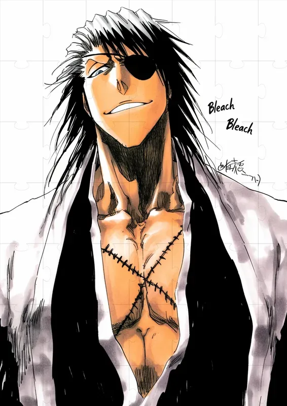 Bleach Characters Tite Kubo
