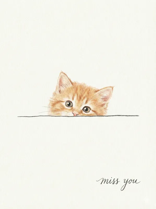 Minimalist Peekaboo Animal Illustrations