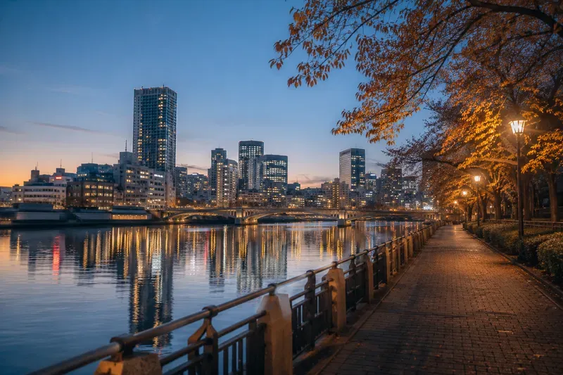 Japan Mood Quiet Osaka Nights