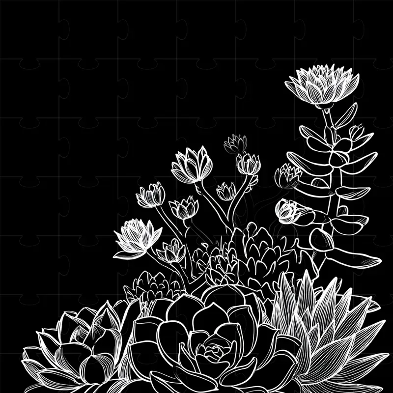 White On Black Silhouettes