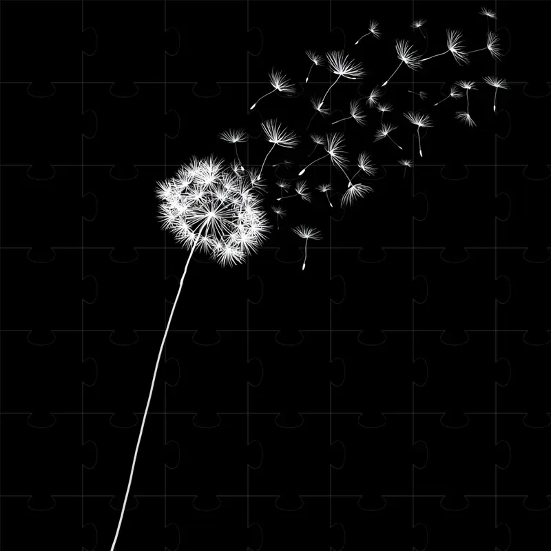 White On Black Silhouettes