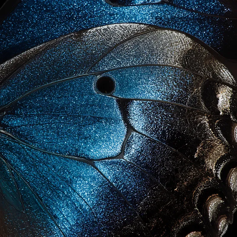Ultra Macro Texture Gens