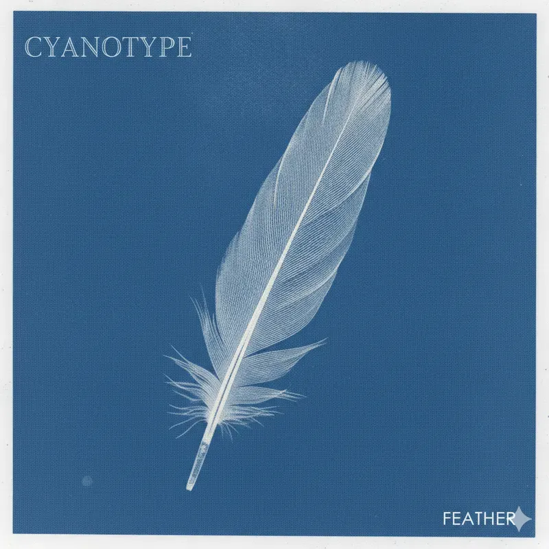 Cyanotype The Blueprints