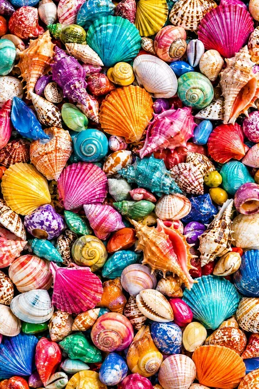 Colorful Flat Lay Collections