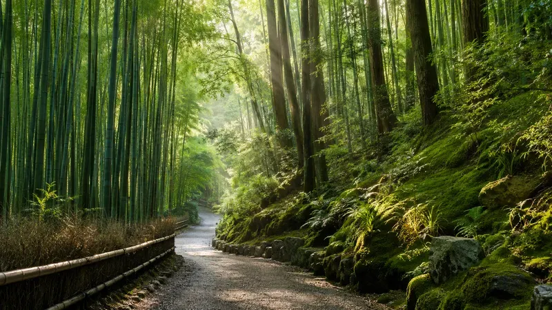 Japan Mood Japanese Forest Retreats