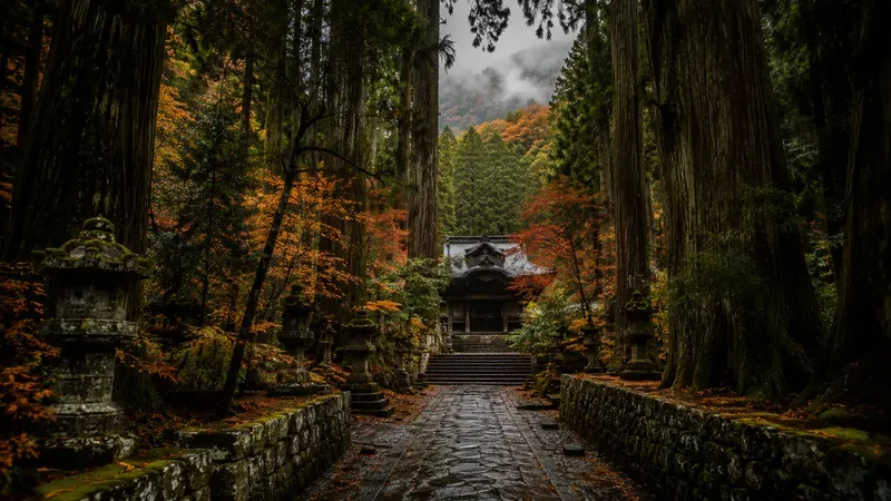 Japan Mood Japanese Forest Retreats