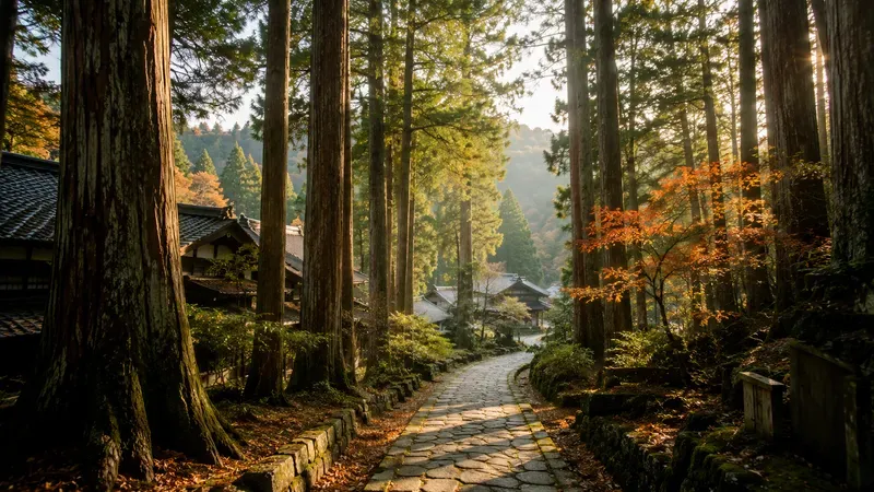 Japan Mood Japanese Forest Retreats