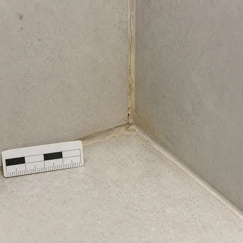 Architectural Defect Inspection Photo Builders