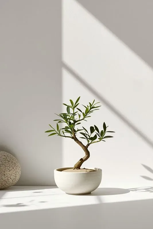 Refined Minimalist Zen Objects