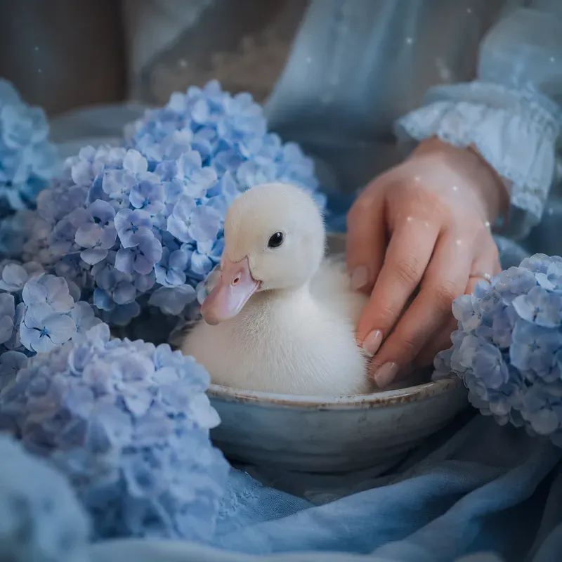 Dreamy Pet Bloom Portraits