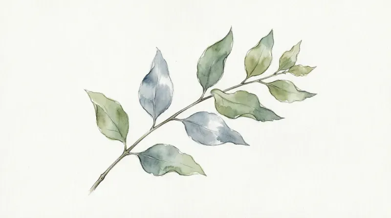 Minimalist Botanical Floral Cliparts