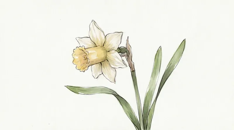Minimalist Botanical Floral Cliparts