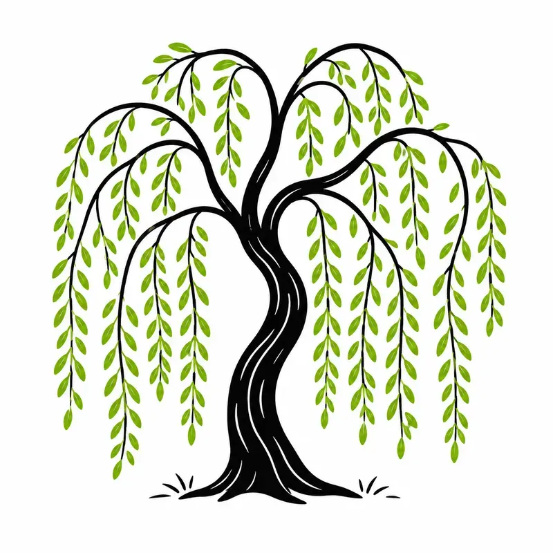 Whimsical Drooping Tree Doodle Packs