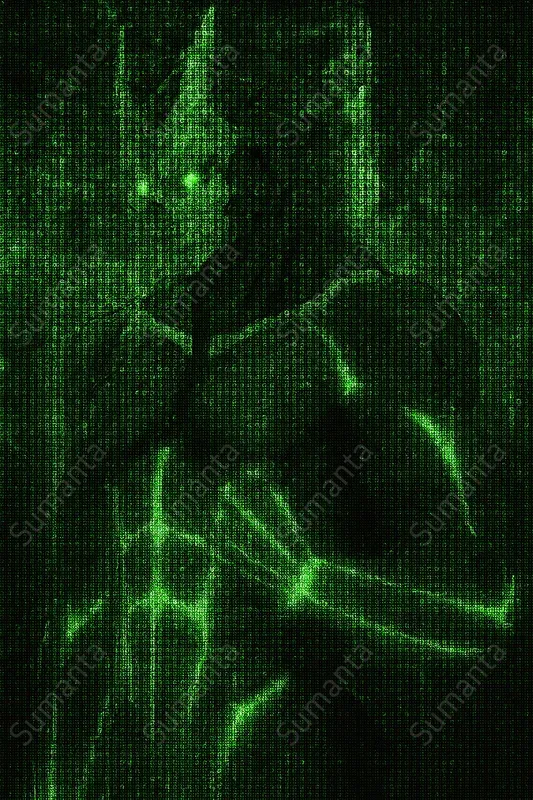 Matrix Code Portrait Fx Generators