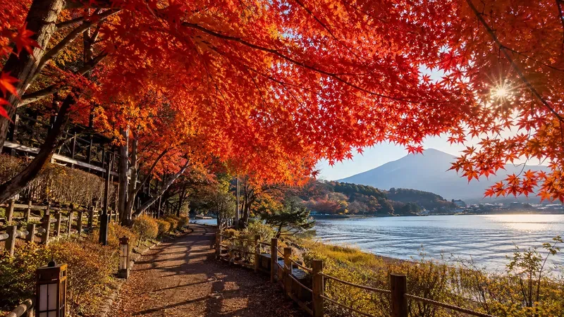 Japan Moods Autumns In Japan