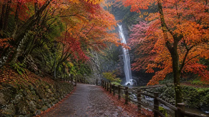 Japan Moods Autumns In Japan