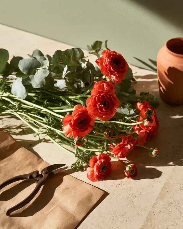 Artisan Workshop Editorials