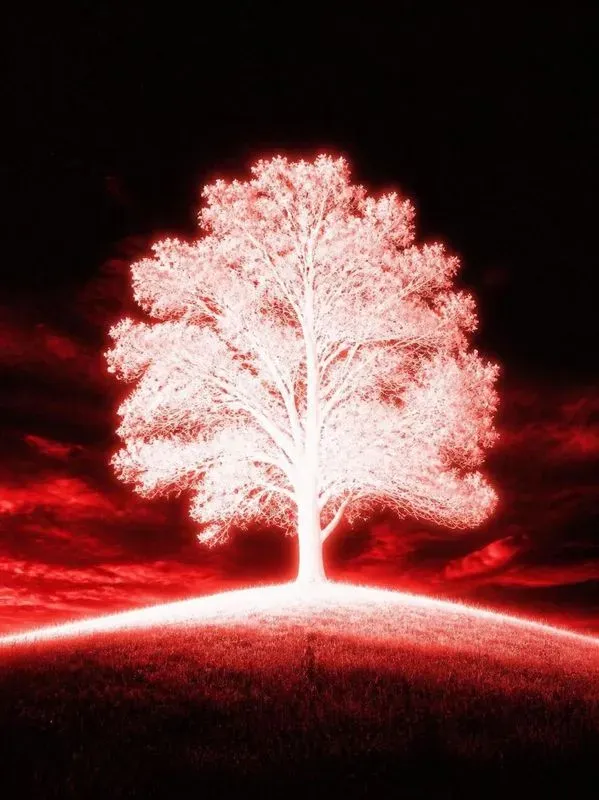 Ethereal Red Overexposed Photography