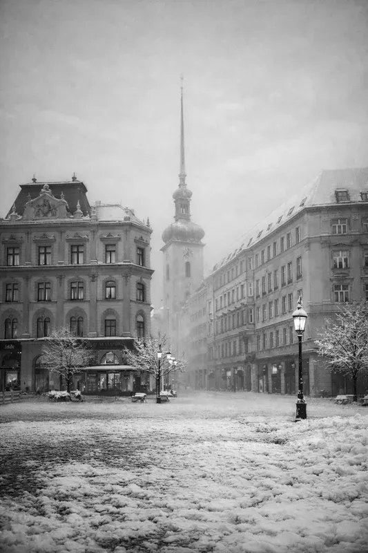 Black And White Fog