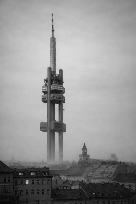 Black And White Fog