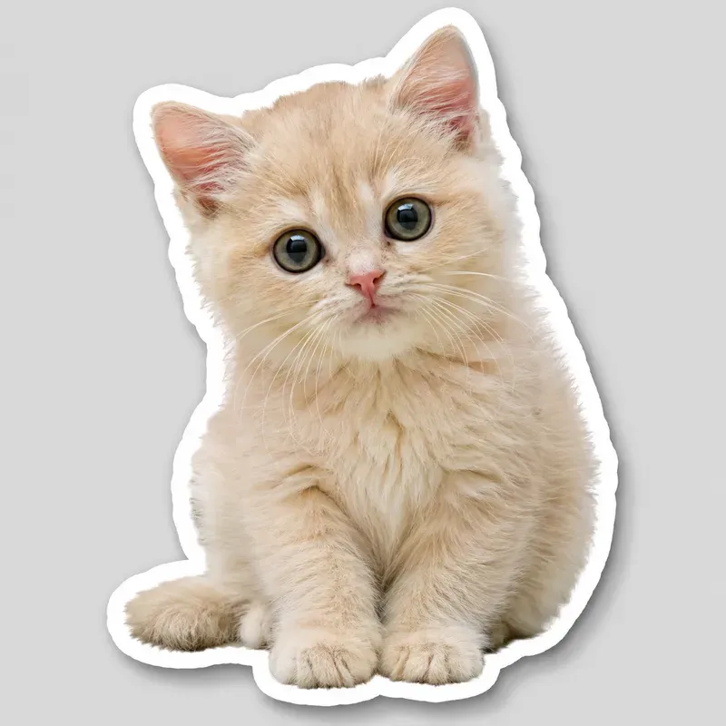 Photos To Stickers