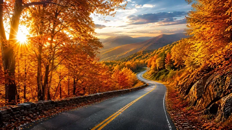 Golden Autumn Landscapes