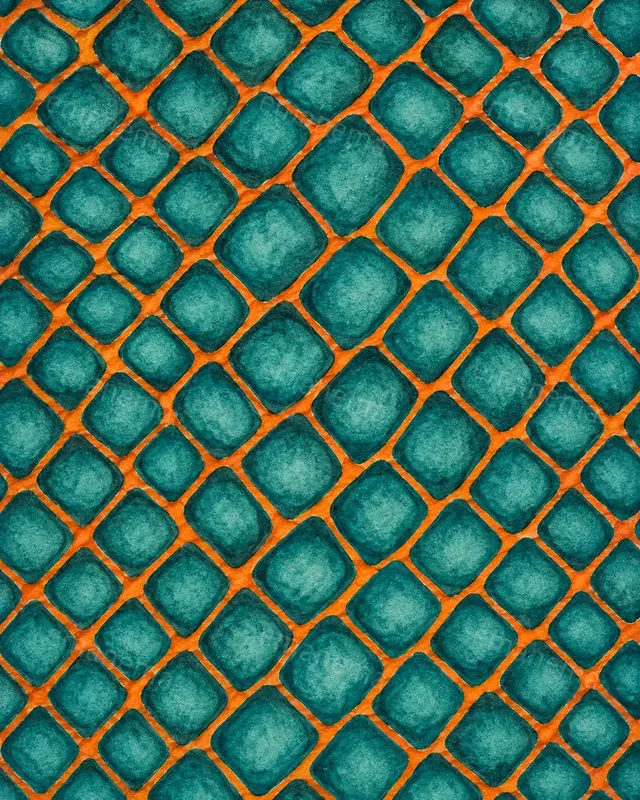 Reptile Scale Patterns