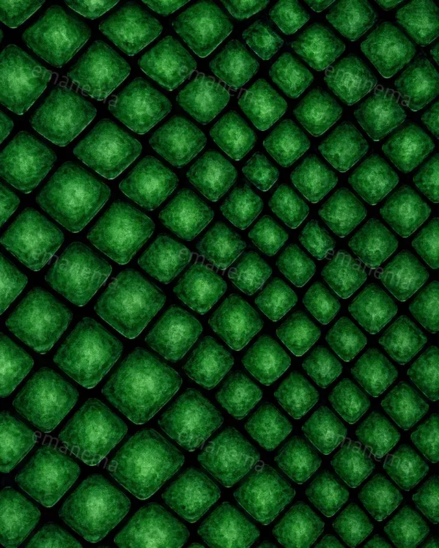 Reptile Scale Patterns