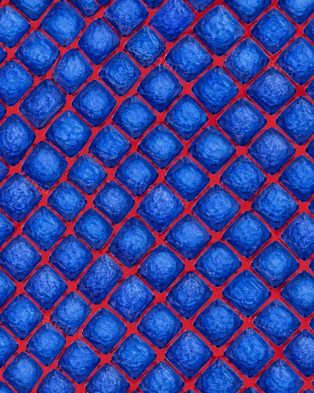 Reptile Scale Patterns