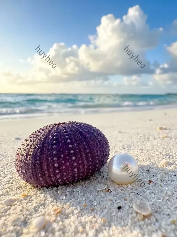 Tropical Shoreline Macro Photography
