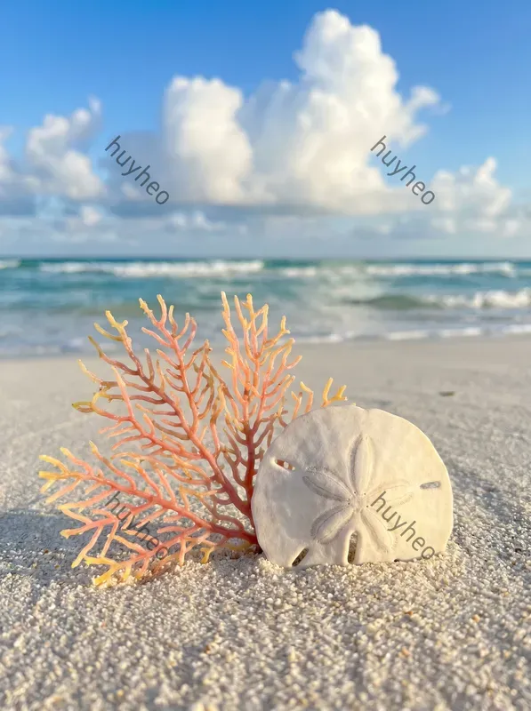 Tropical Shoreline Macro Photography