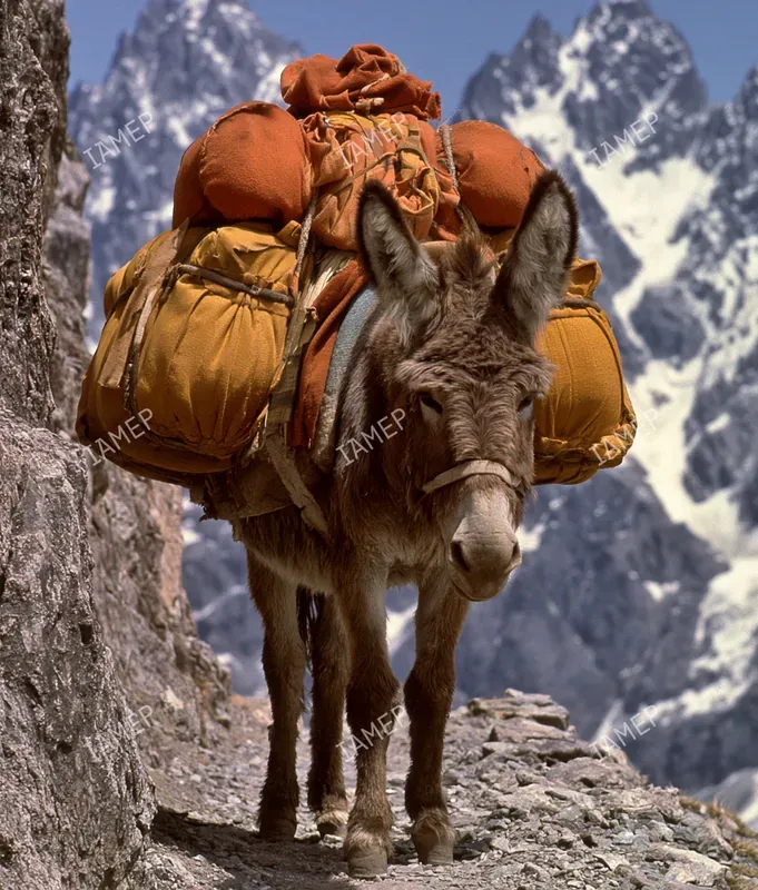 Vintage Journey Film Scenes