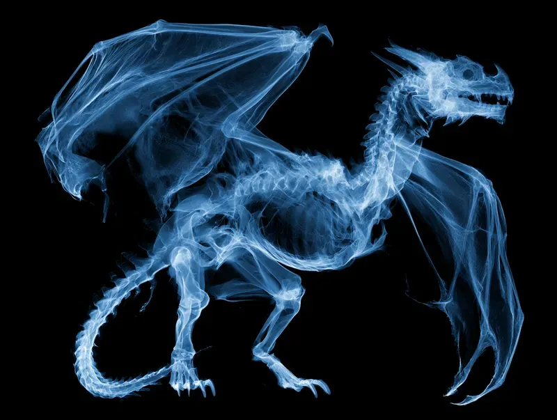 Fantastic Anatomy Xray Generator