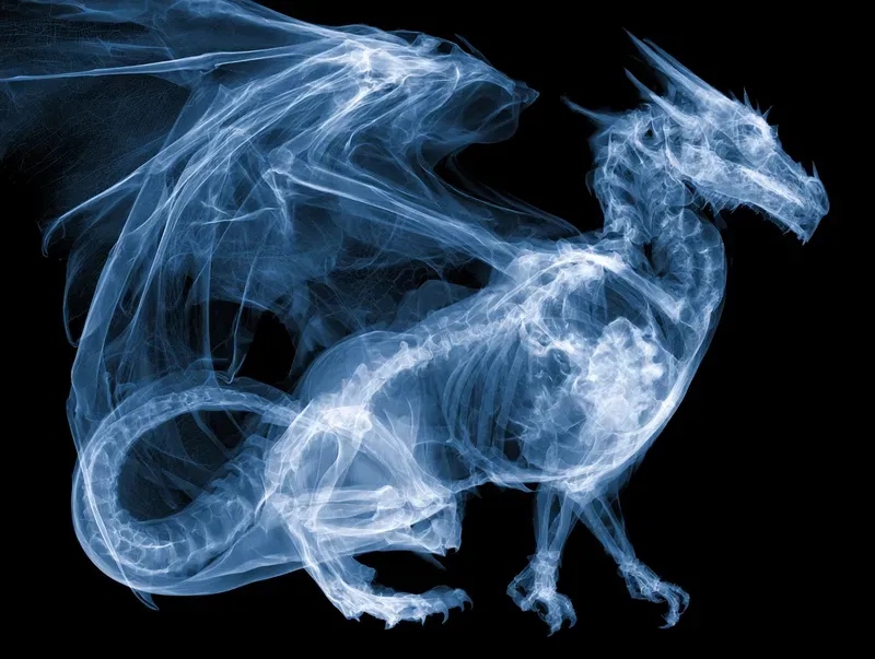 Fantastic Anatomy Xray Generator