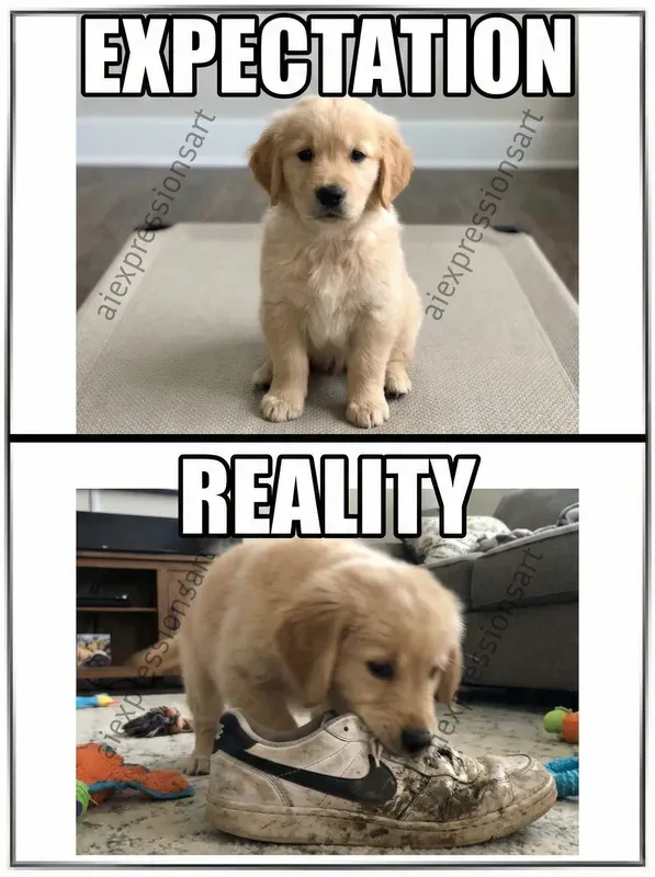 Expectation Vs Reality Memes