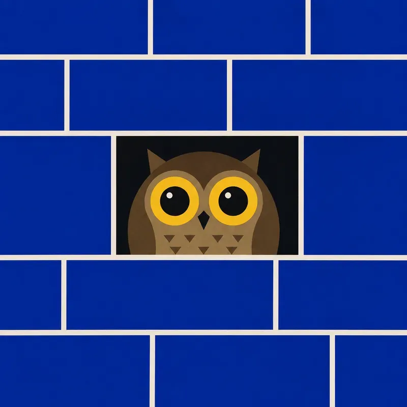 Hidden Behind The Walls