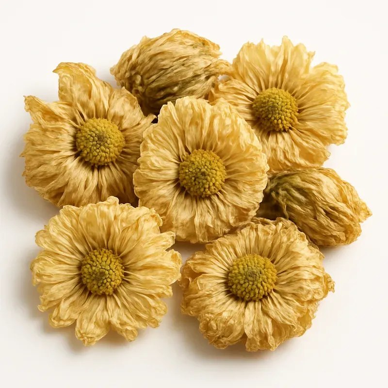 Herbal Medicine Ingredient Visualizers