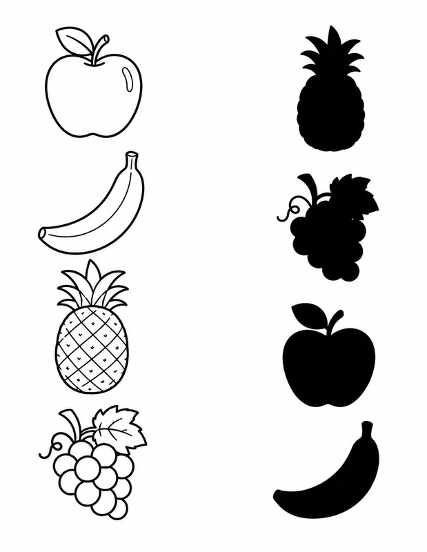 Picturetoshadow Matching Worksheets