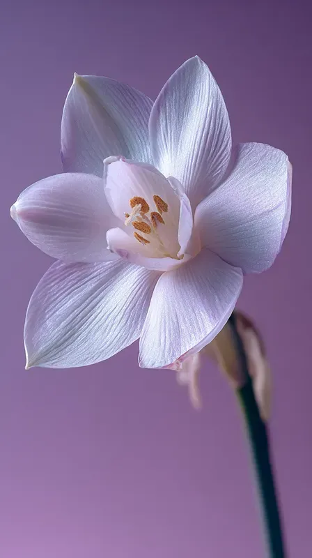 Ultrarealistic Exotic Flowers