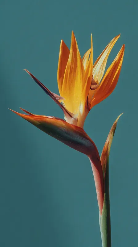 Ultrarealistic Exotic Flowers