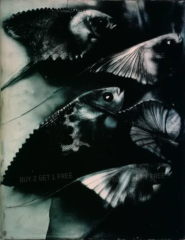 Monochromatic Surreal Art