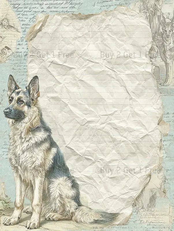 Summer Mediterranean Plain Papers