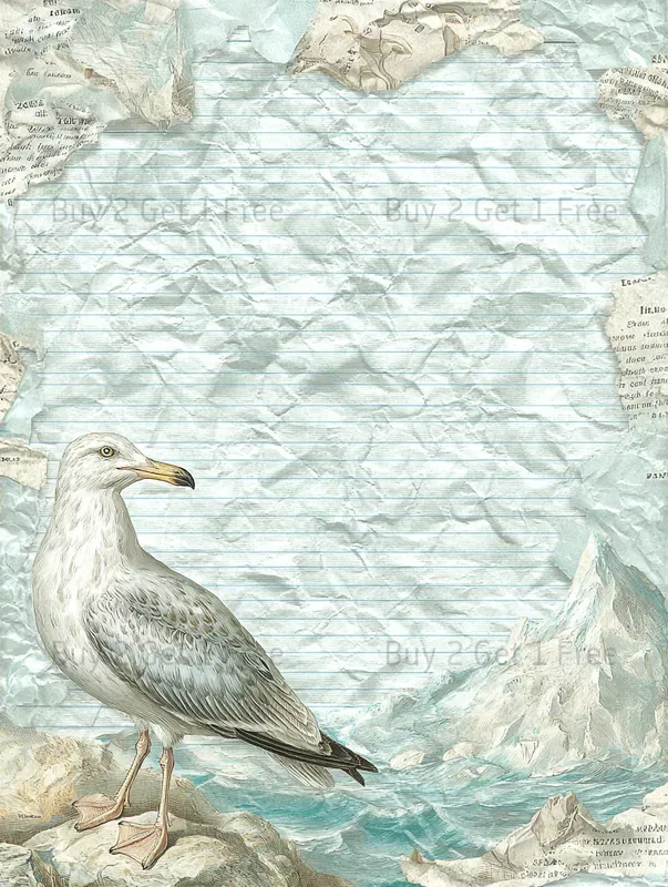 Summer Mediterranean Plain Papers