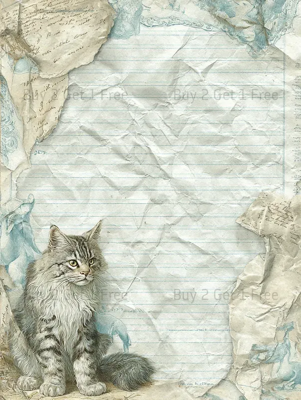 Summer Mediterranean Plain Papers